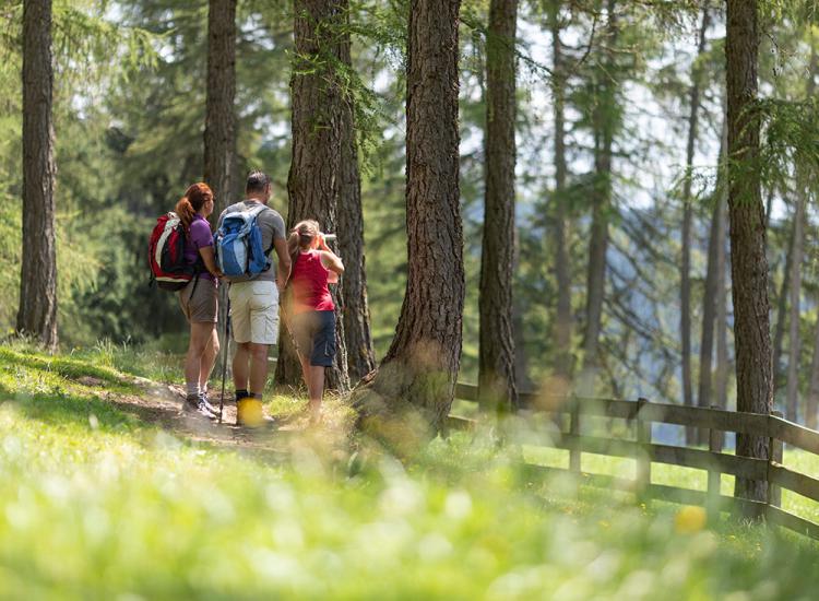 Wandern auf Südtirols Bergen