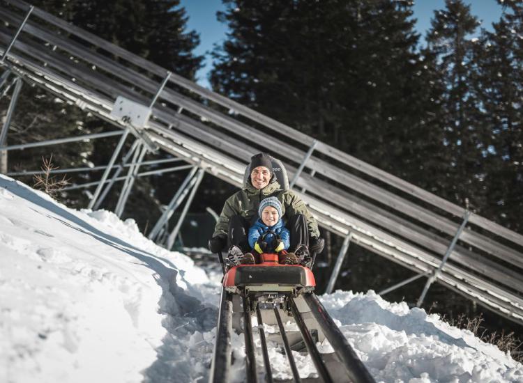 Abfahrt mit dem Alpin-Bob in Meran 2000