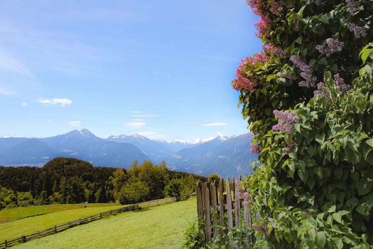 Aussicht