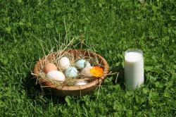 Hofeigene Produkte (Milch und Eier)