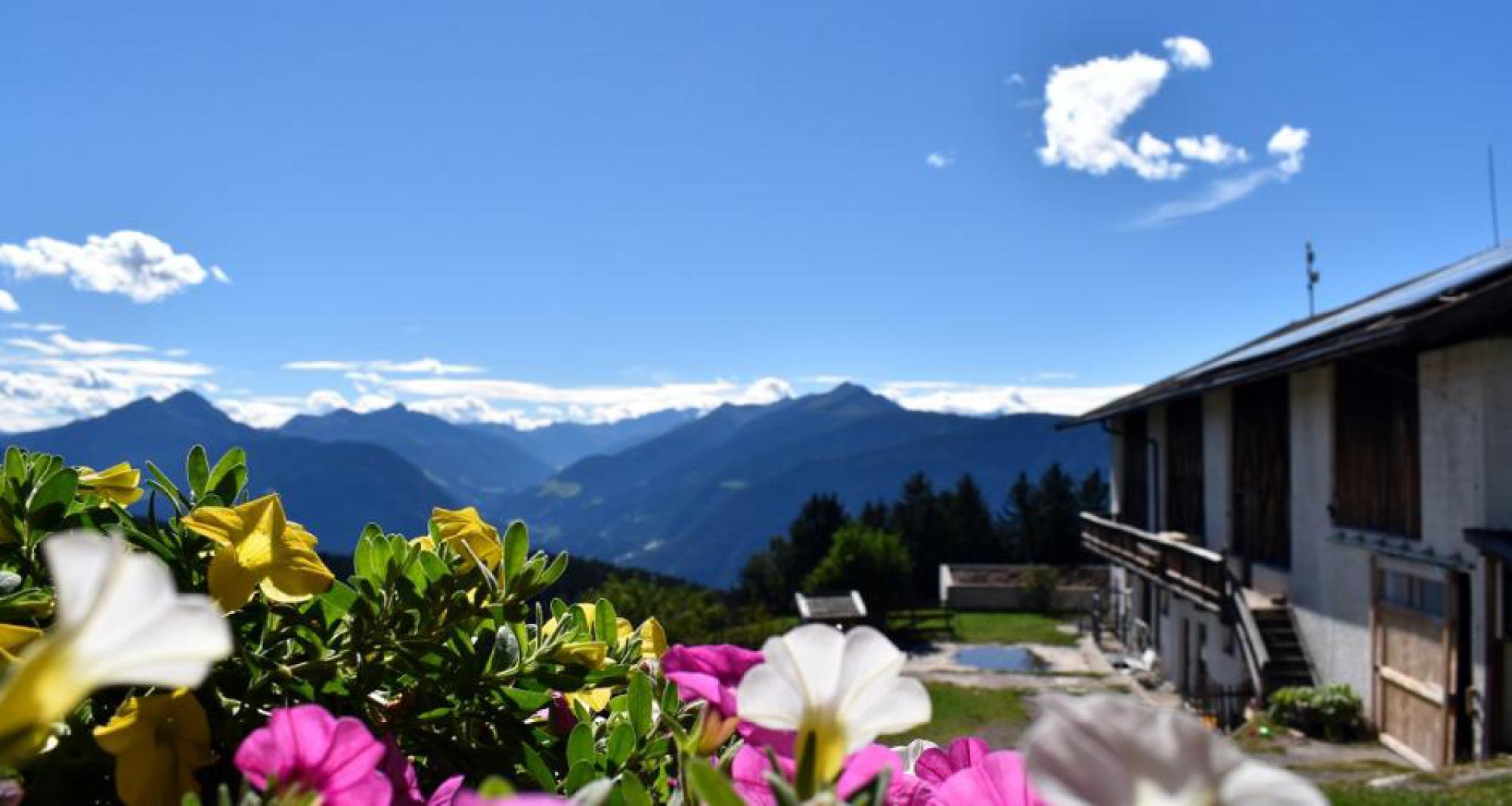 Aussicht Balkon