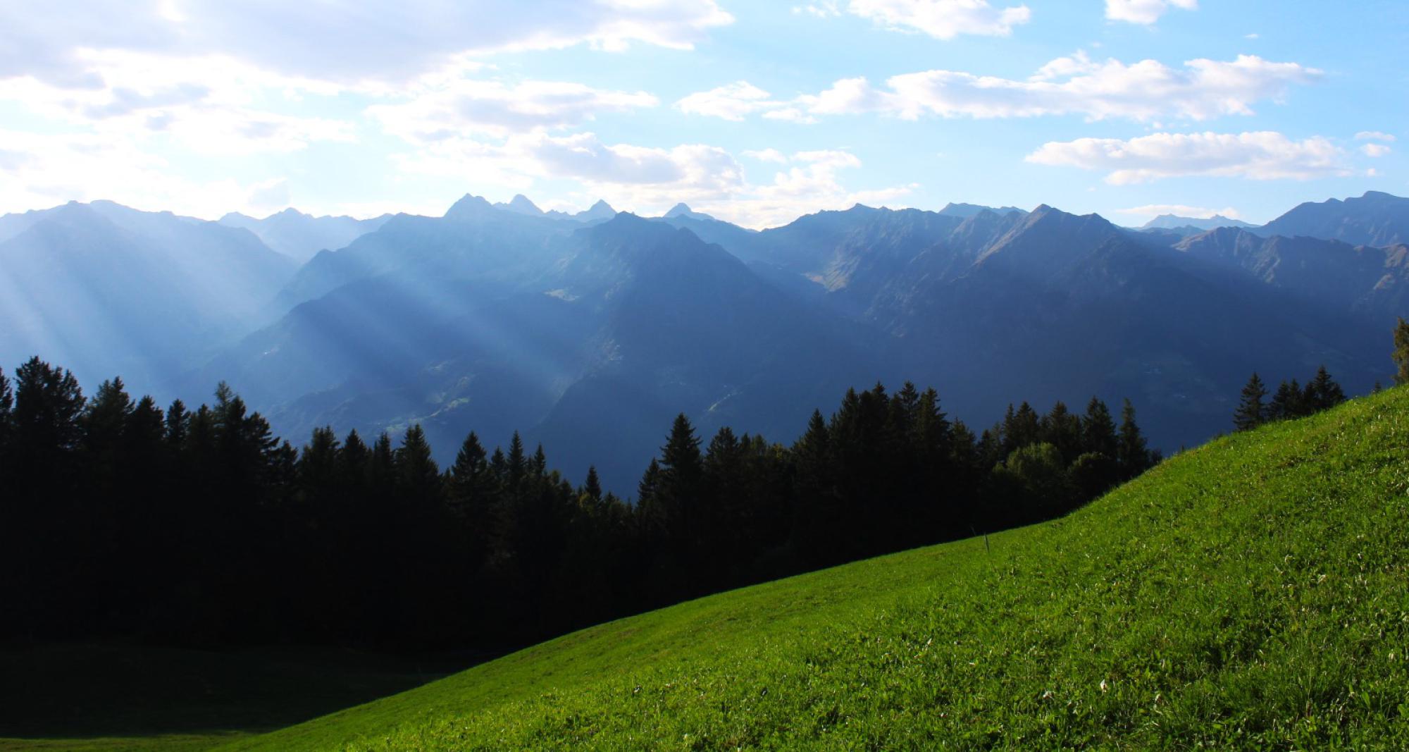 Sommer