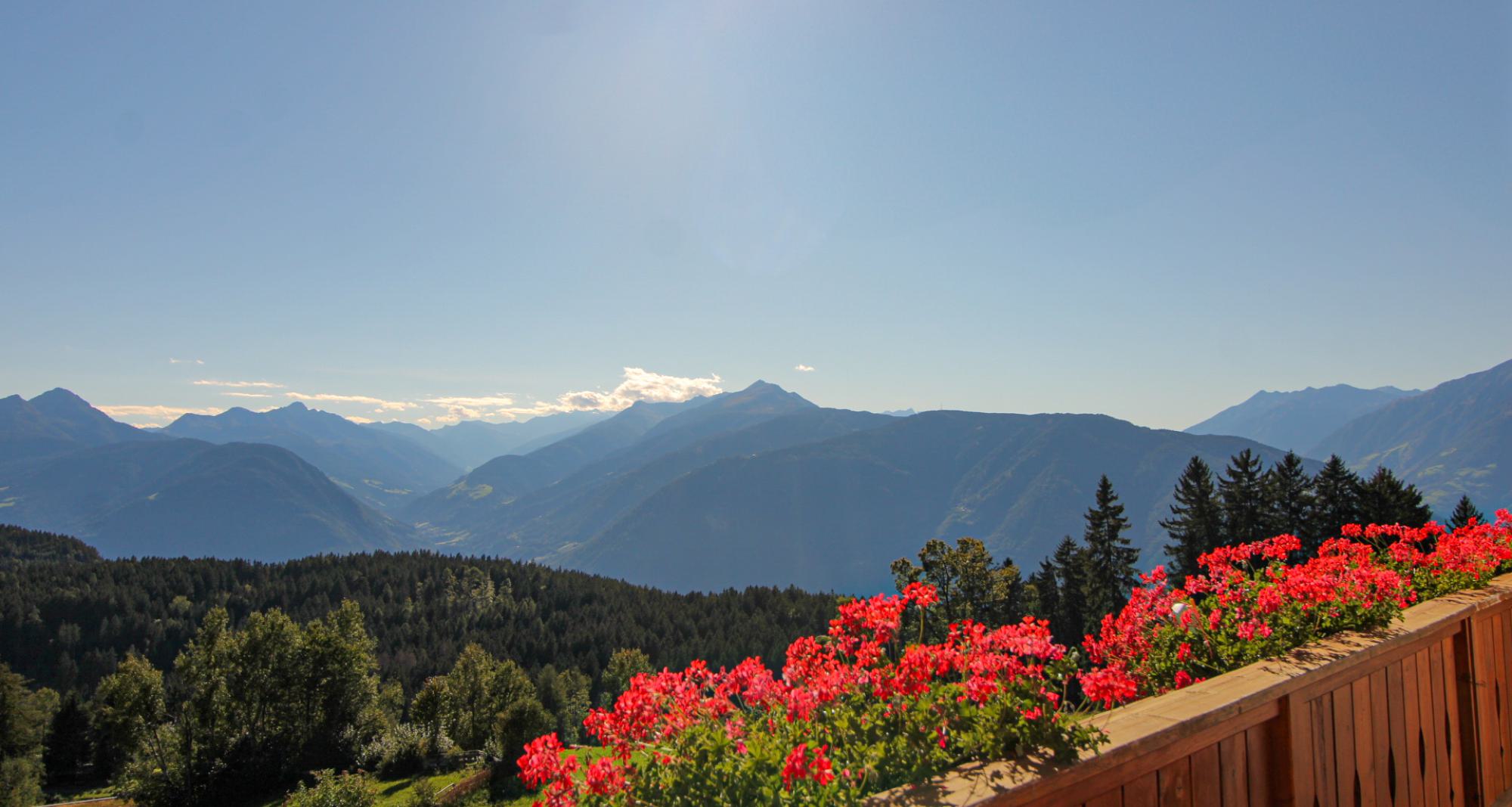 Urlaub auf dem Bauernhof am Pichlerhof in Hafling bei Meran, Südtirol