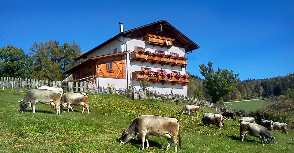 Bauernhofurlaub in Hafling - Südtirol, Italien