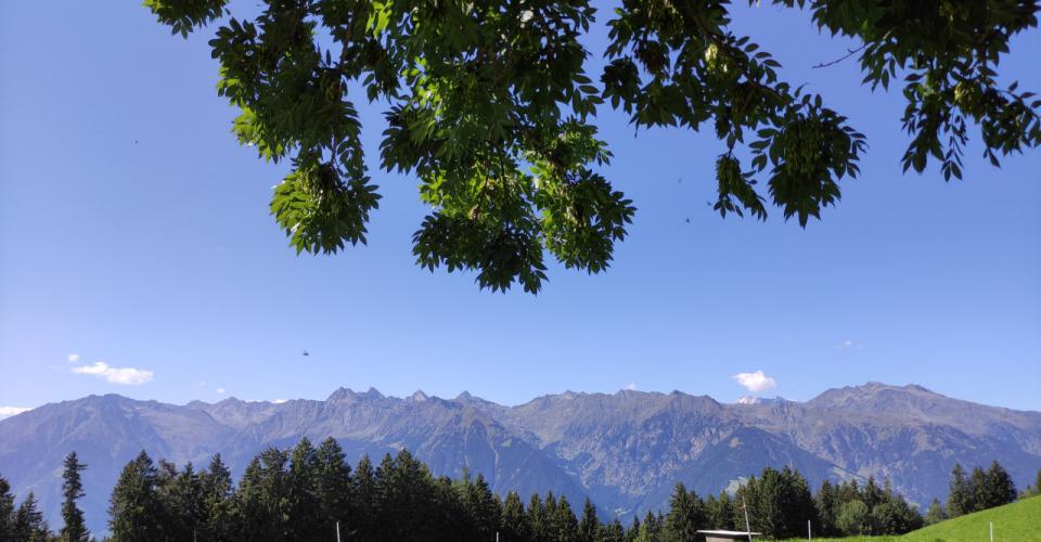 Prati verdi e montagne vicine